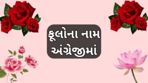 ફૂલોના નામ અંગ્રેજીમાં