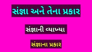 સંજ્ઞા અને તેના પ્રકાર