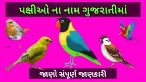 પક્ષીઓ ના નામ ગુજરાતીમાં