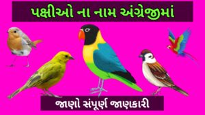 પક્ષીઓ ના નામ અંગ્રેજીમાં