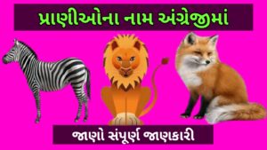 પ્રાણીઓ ના નામ અંગ્રેજીમાં