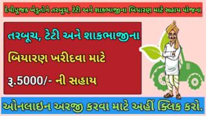 તરબૂચ, ટેટી અને શાકભાજીના બિયારણ માટે સહાય યોજના