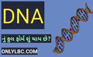 DNA નું ફૂલ ફોર્મ શું છે?