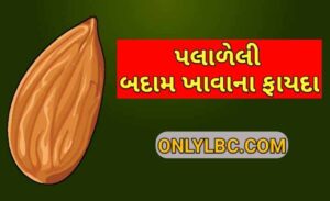 પલાળેલી બદામ ખાવાના ફાયદા