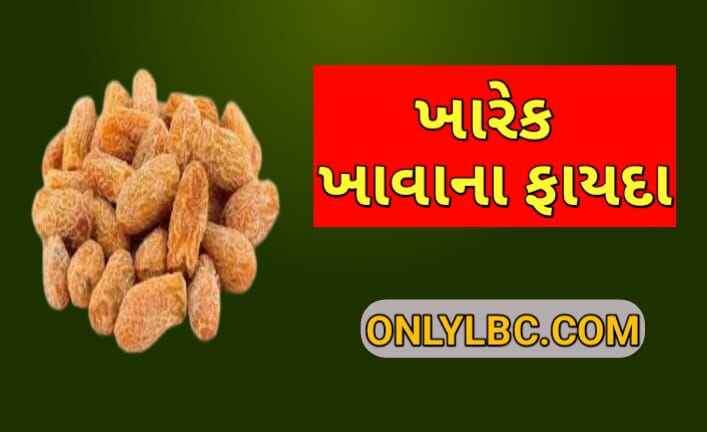 ખારેક ખાવાના ફાયદા | Benefits of eating Kharak » Onlylbc.com