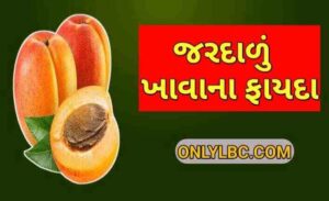 જરદાળુ ના ફાયદા