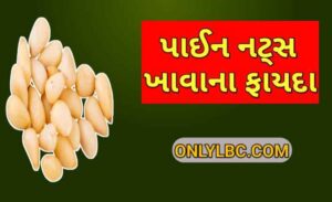 પાઈન નટ્સ ખાવાના ફાયદા