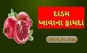 દાડમ ખાવાના ફાયદા