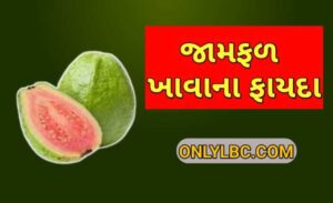 જામફળ ખાવાના ફાયદા