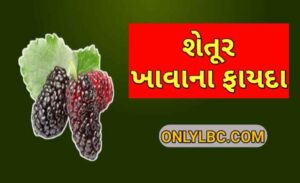 શેતૂર ખાવાના ફાયદા