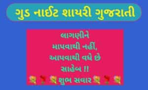 ગુડ નાઈટ શાયરી